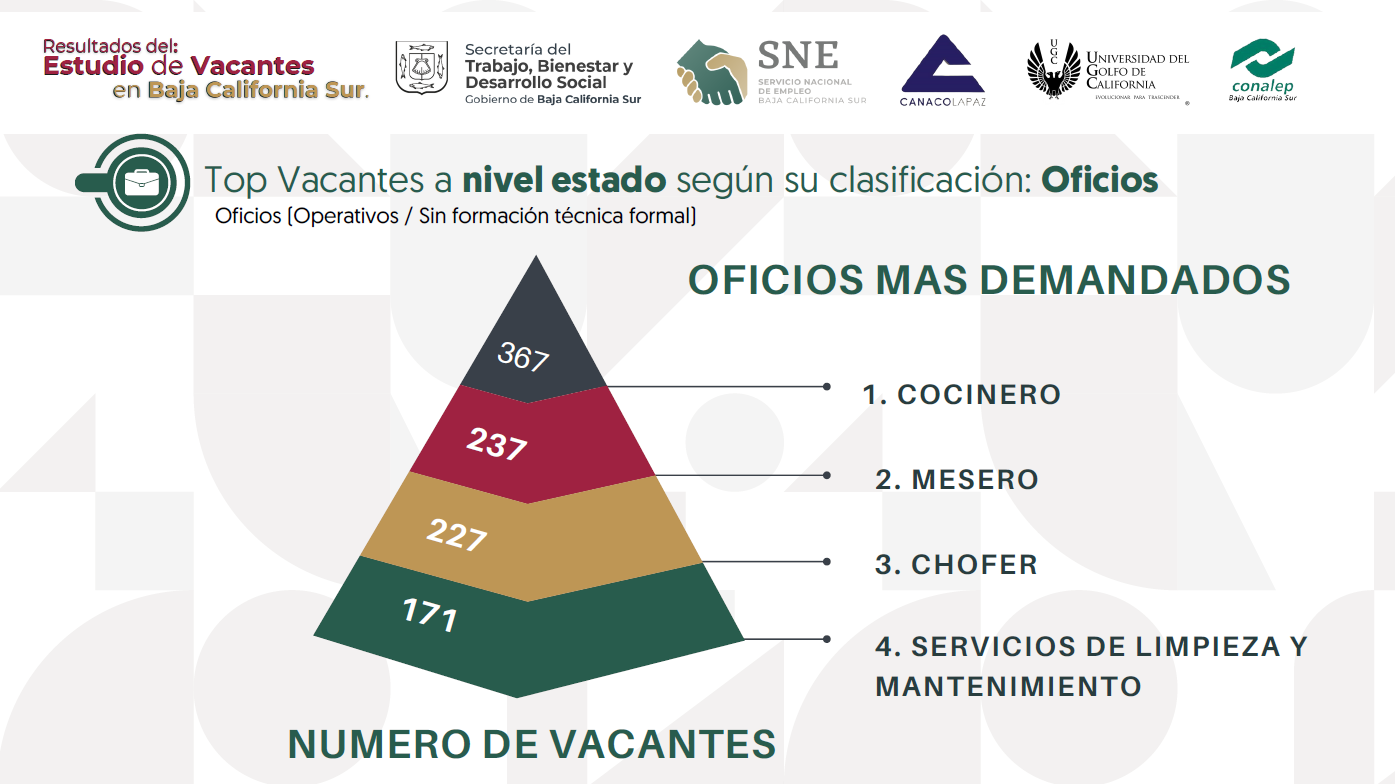 Imagen 12