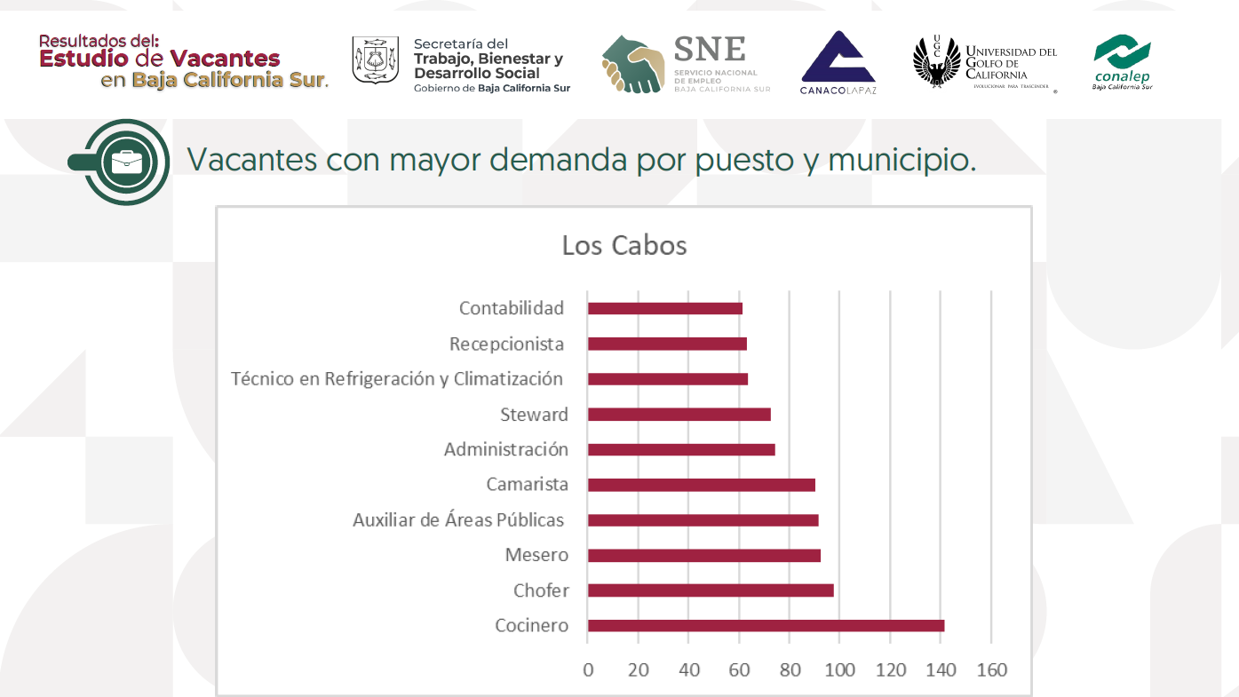 Imagen 13