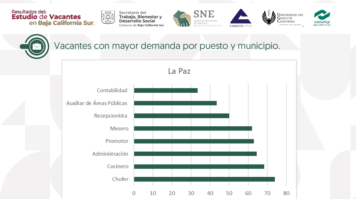 Imagen 14
