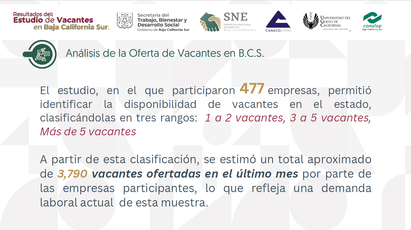 Imagen 7