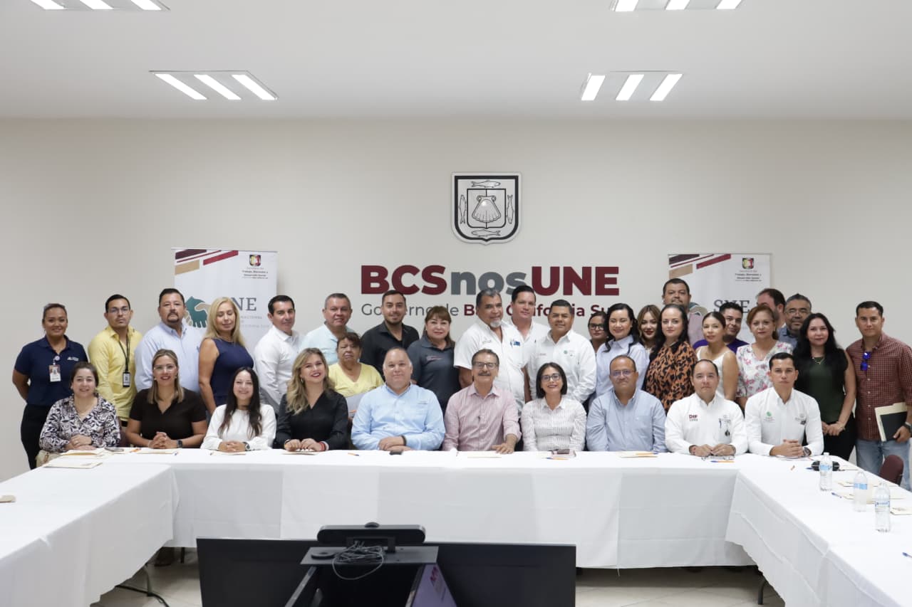 Imagen boletín 203