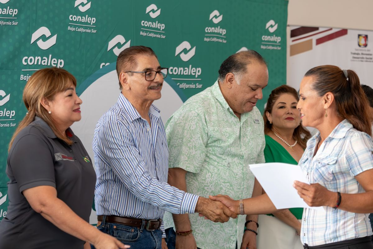 Imagen boletín 204