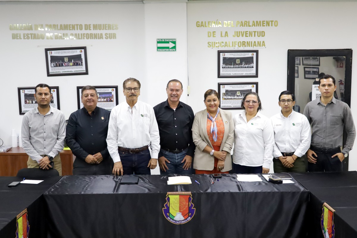 Imagen boletín 207