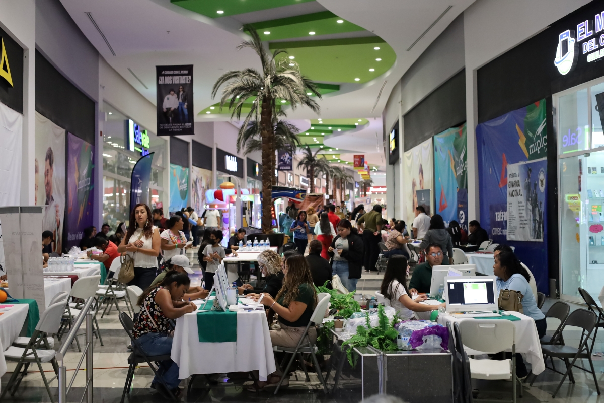 Imagen boletín 2026-10