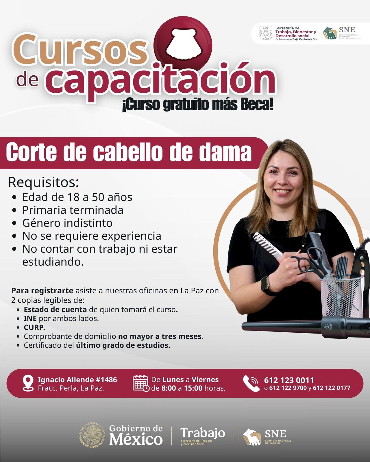 Curso 1
