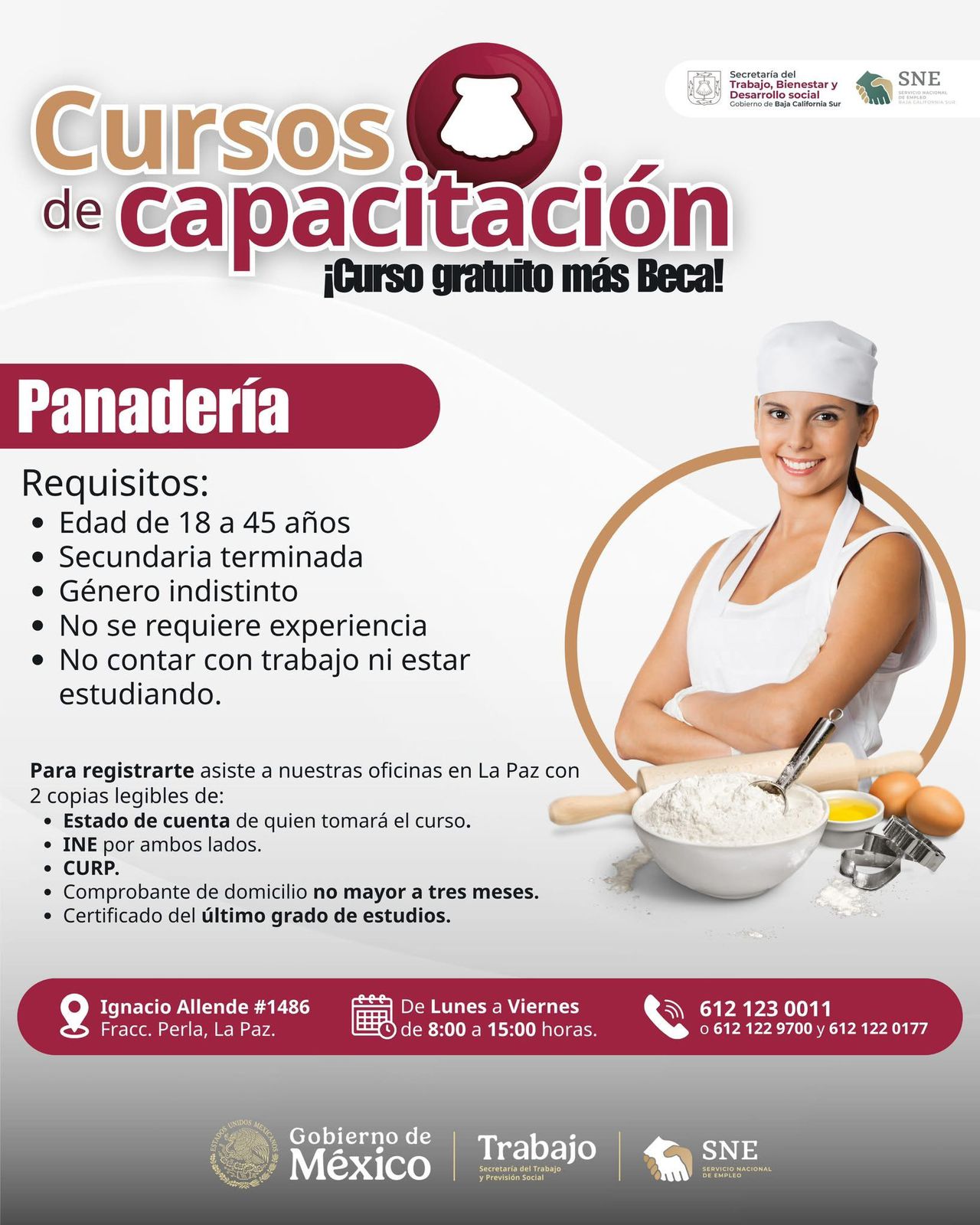 Curso 1