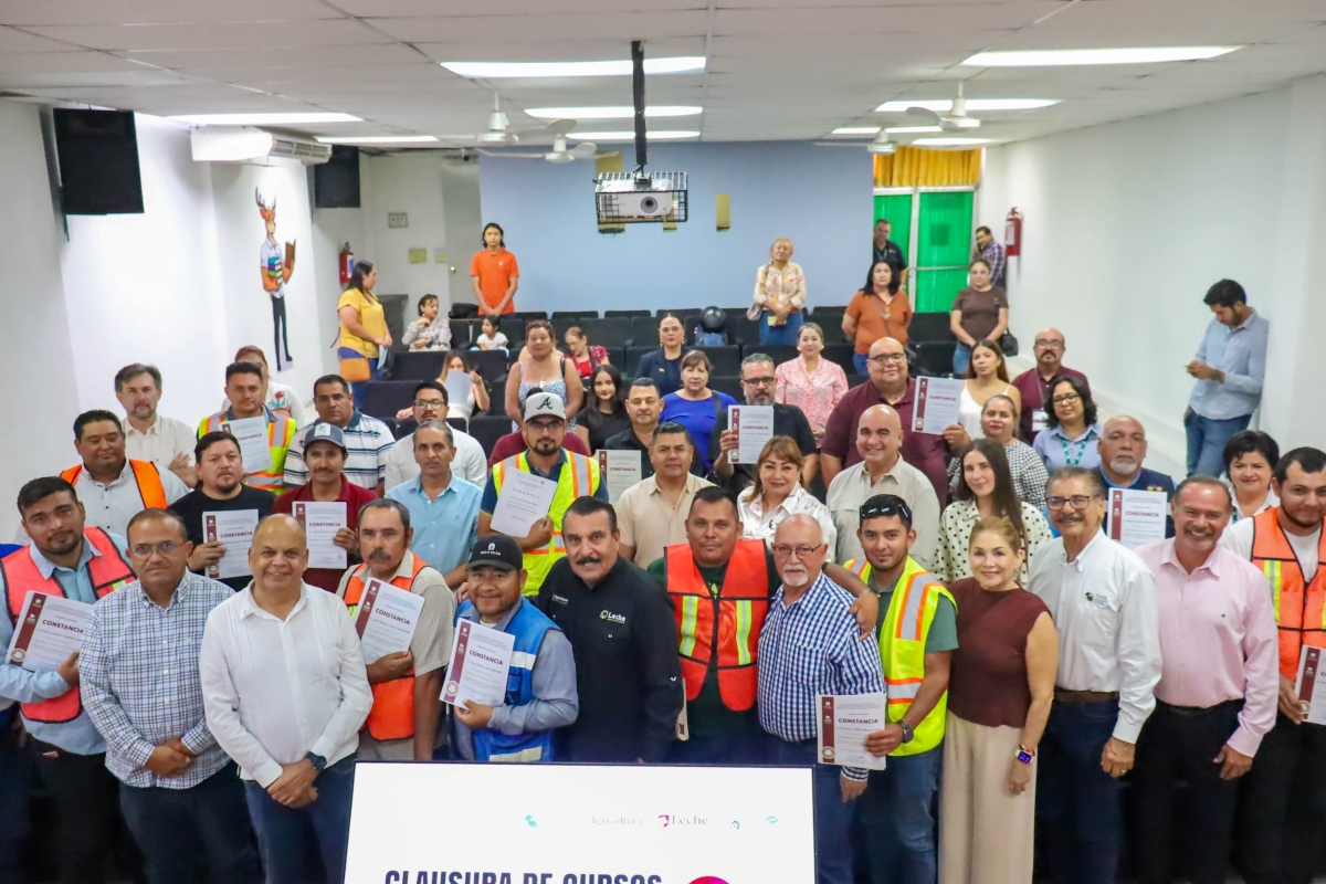 Imagen boletín 2026-19