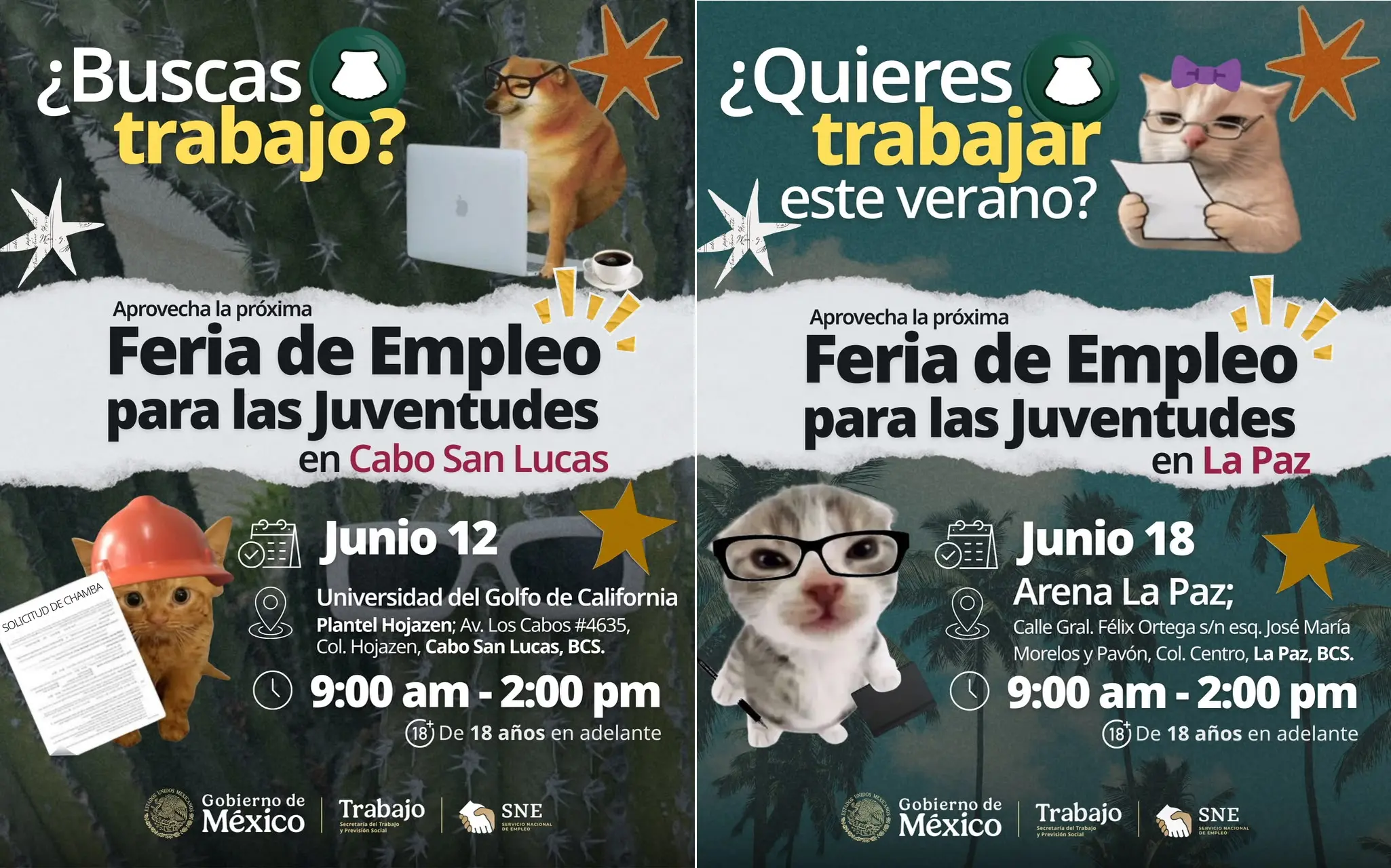 Imagen boletín 2026-22