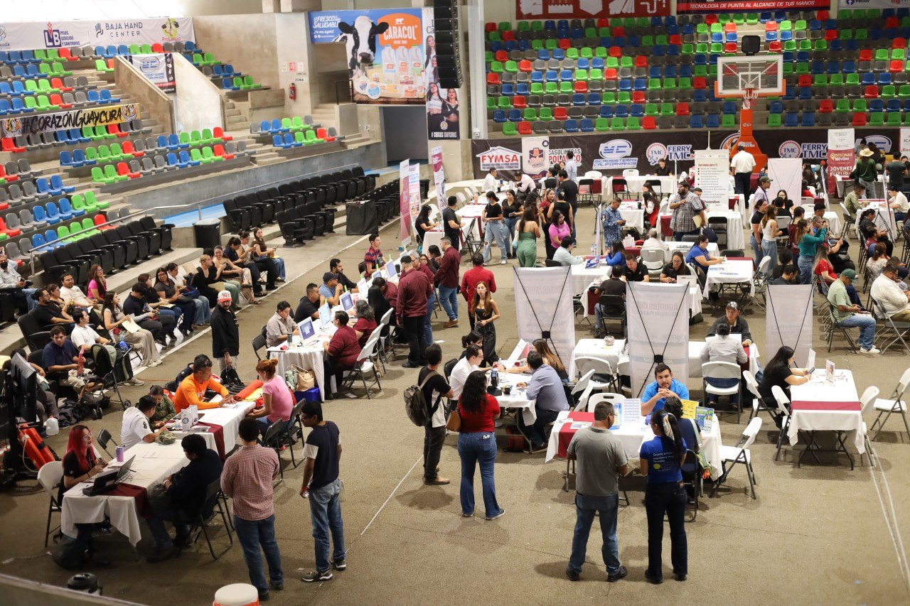 Imagen boletín 2026-33